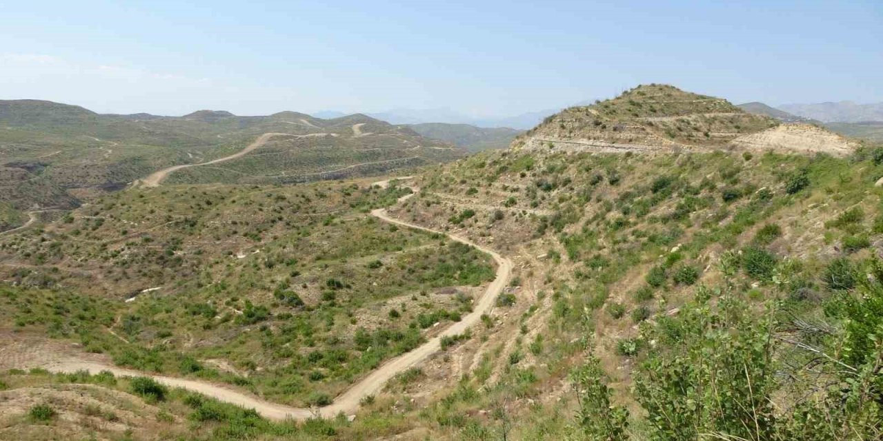 Büyük yangın sonrası Manavgat’ta dikilen 3,5 milyon fidan yeşerdi