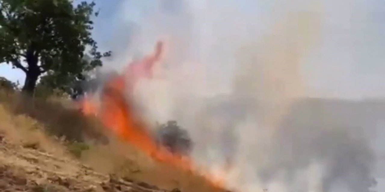 Siirt’te fıstık bahçeleri yanıyor, ekipler müdahale ediyor