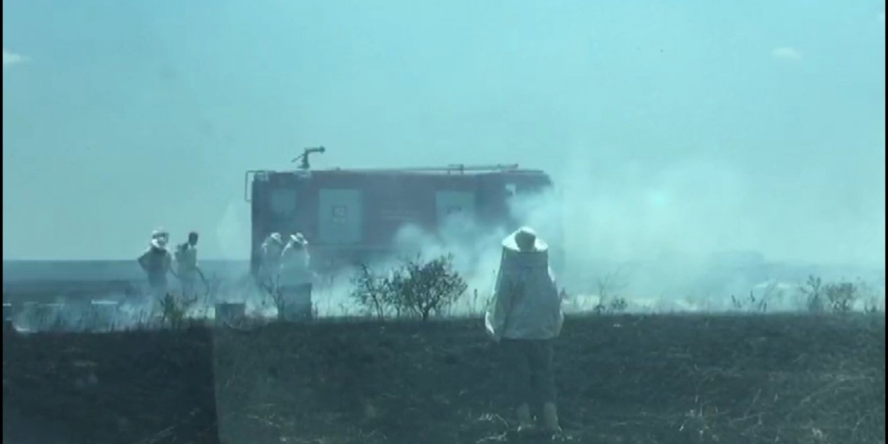 Edirne’de tarlada çıkan yangında 100 arı kovanı yandı