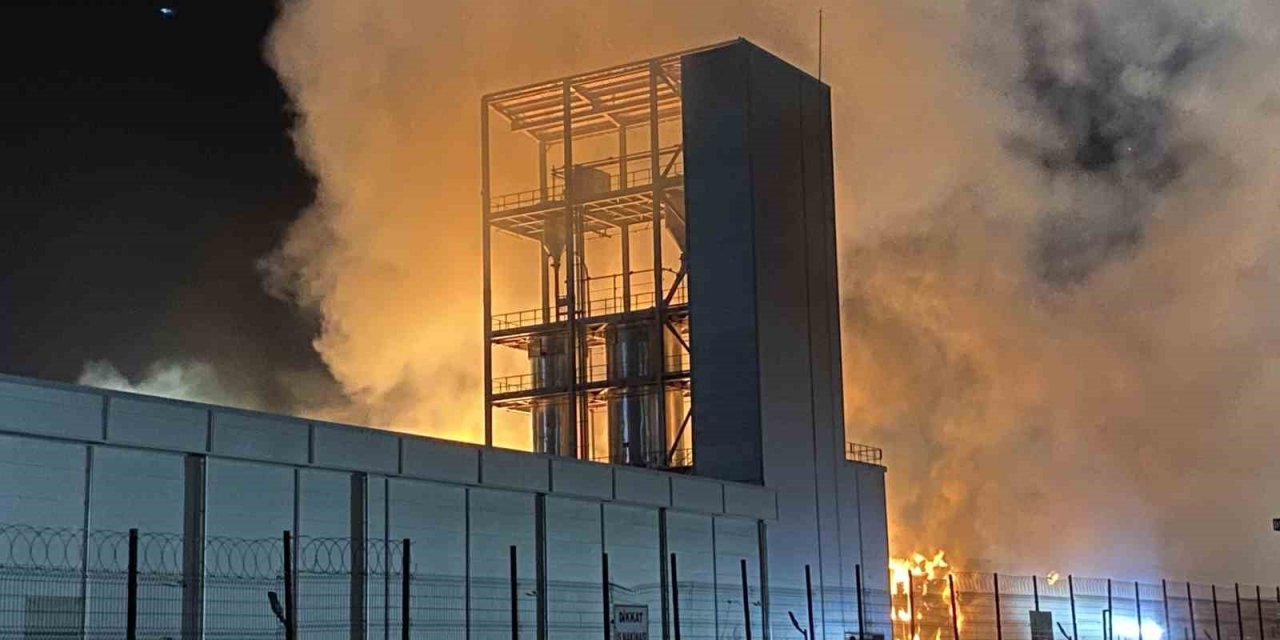 Tekirdağ’da karton fabrikasında yangın: Alevler geceyi aydınlattı