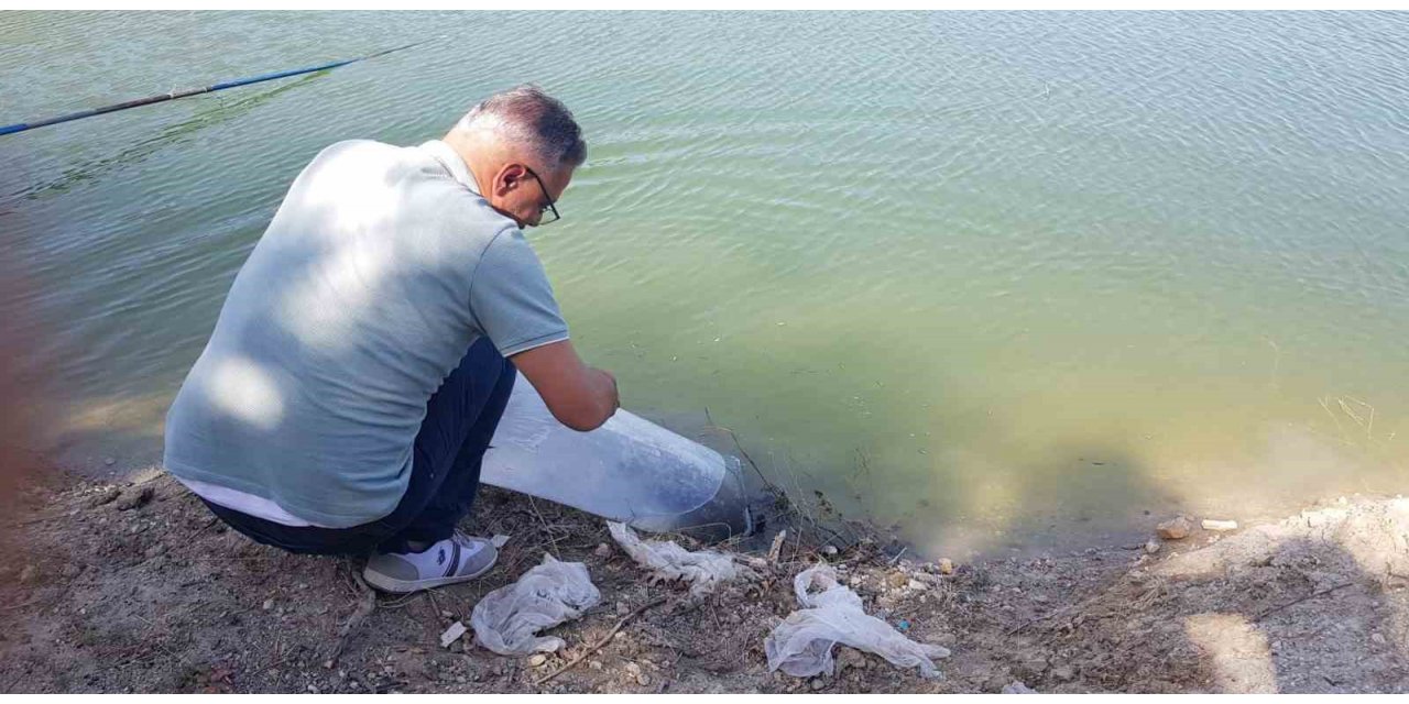 Buldan’da 50 bin balık suya bırakıldı