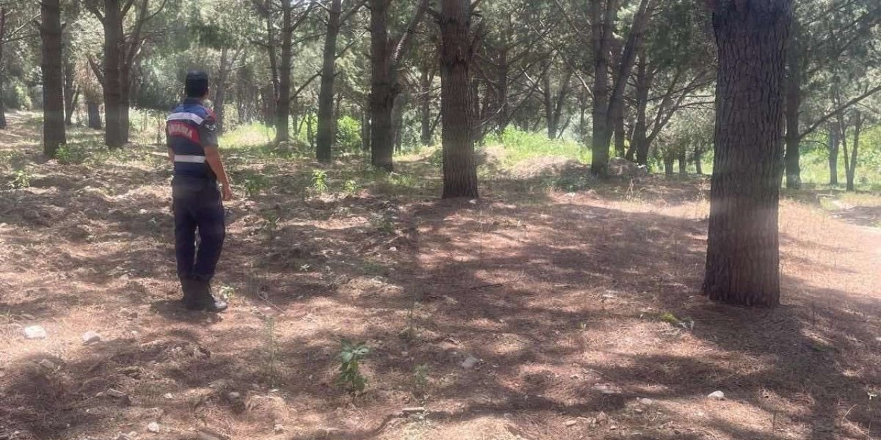 Jandarma ekipleri orman yangınlarına karşı teyakkuzda