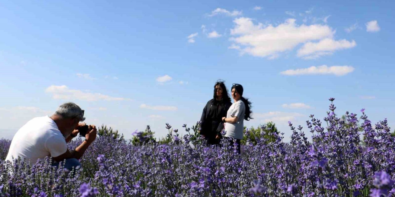 Kokusu mest ediyor, rengi büyülüyor