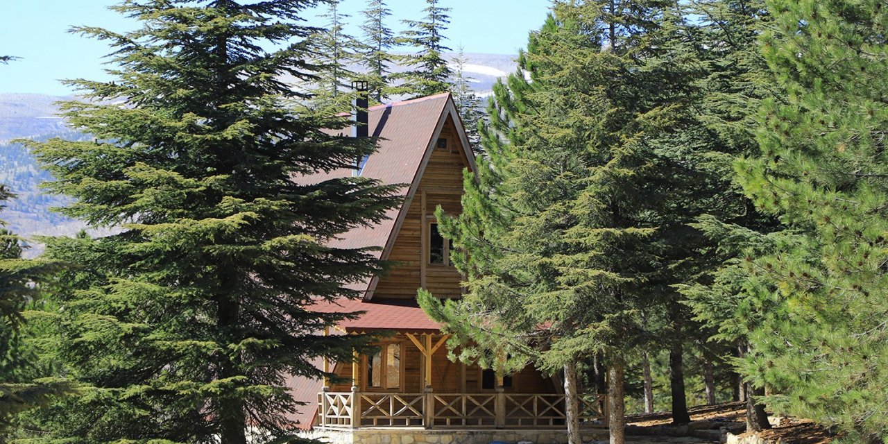 Yalnız Ardıç bungalov evlerinde rezervasyonlar başladı