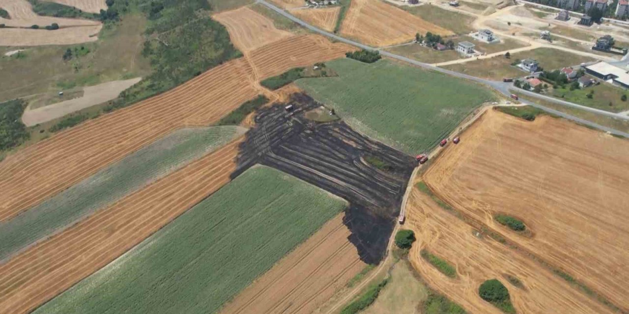 Arnavutköy’de 20 dönüm buğday tarlası küle döndü