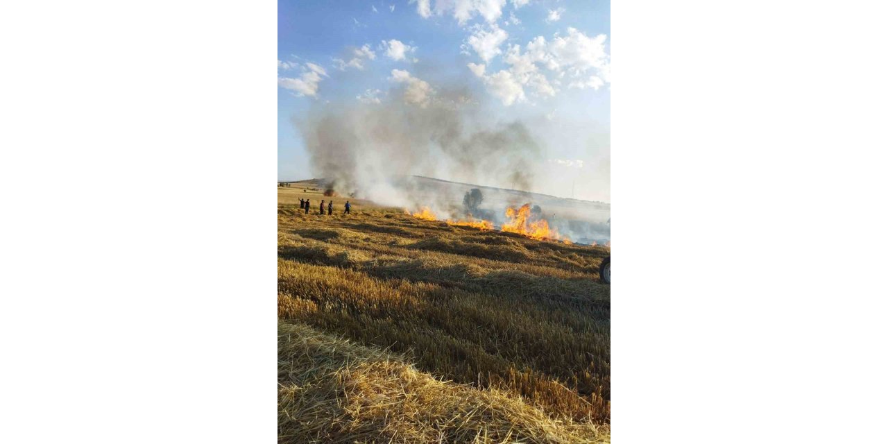 İki ayrı noktada çıkan yangında 30 dekar mahsul heba oldu