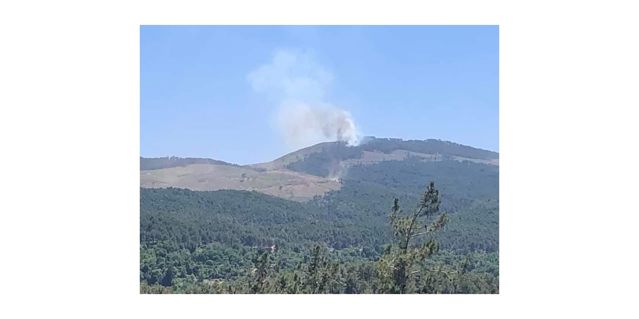 Muğla’da orman yangını