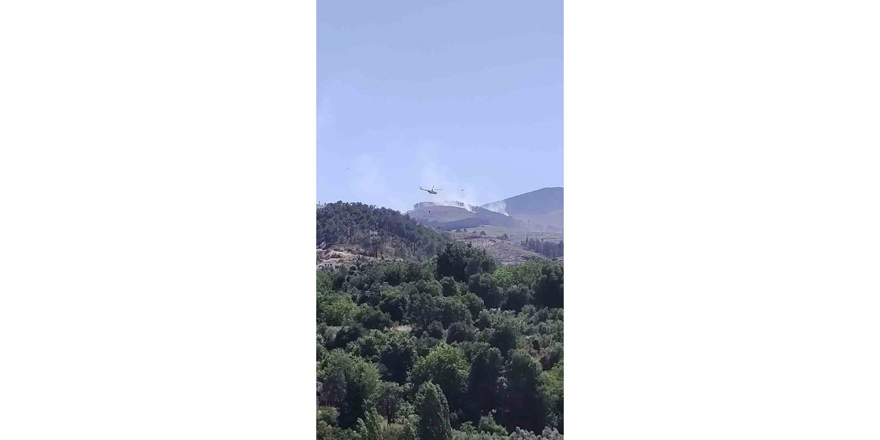 Muğla’daki orman yangınına müdahale sürüyor