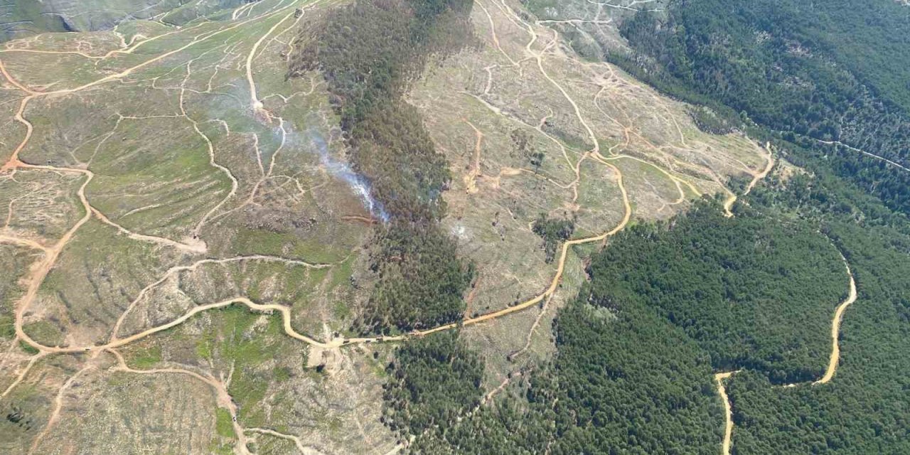 Muğla’daki orman yangını kontrol altına alındı