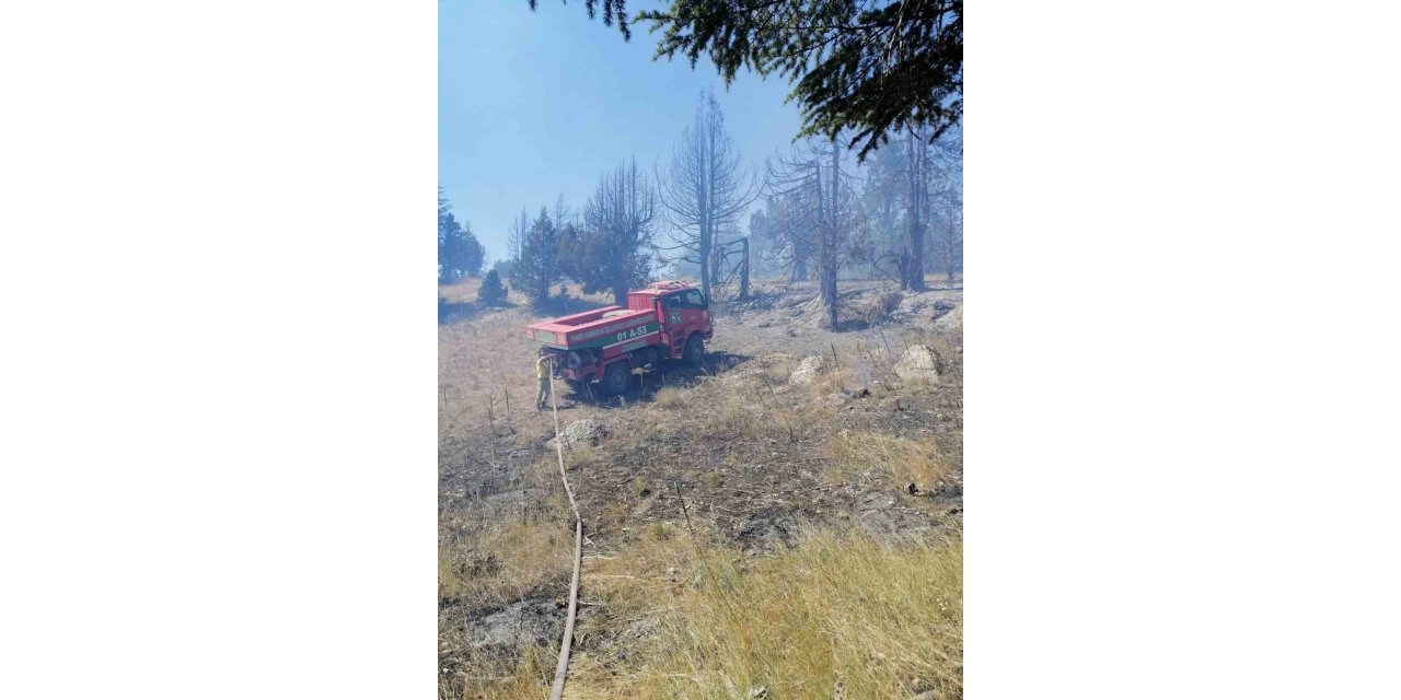 Orman yangını kontrol altına alındı