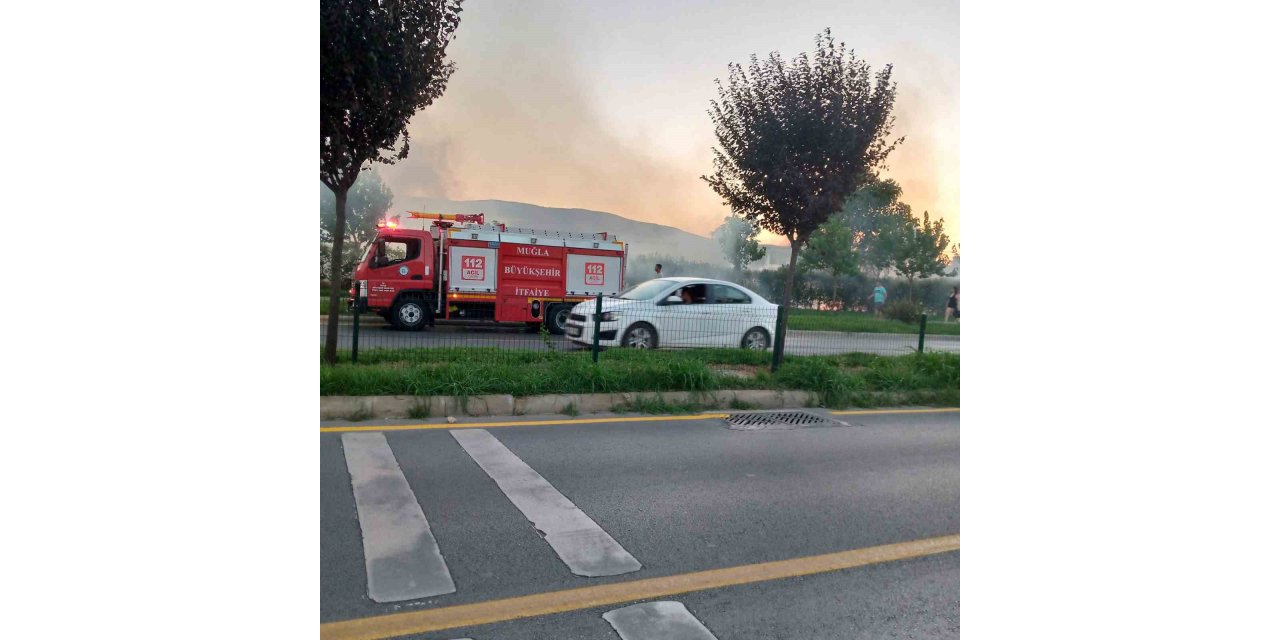 Otluk alanda çıkan yangın ekiplerin zamanında müdahalesi ile söndürüldü