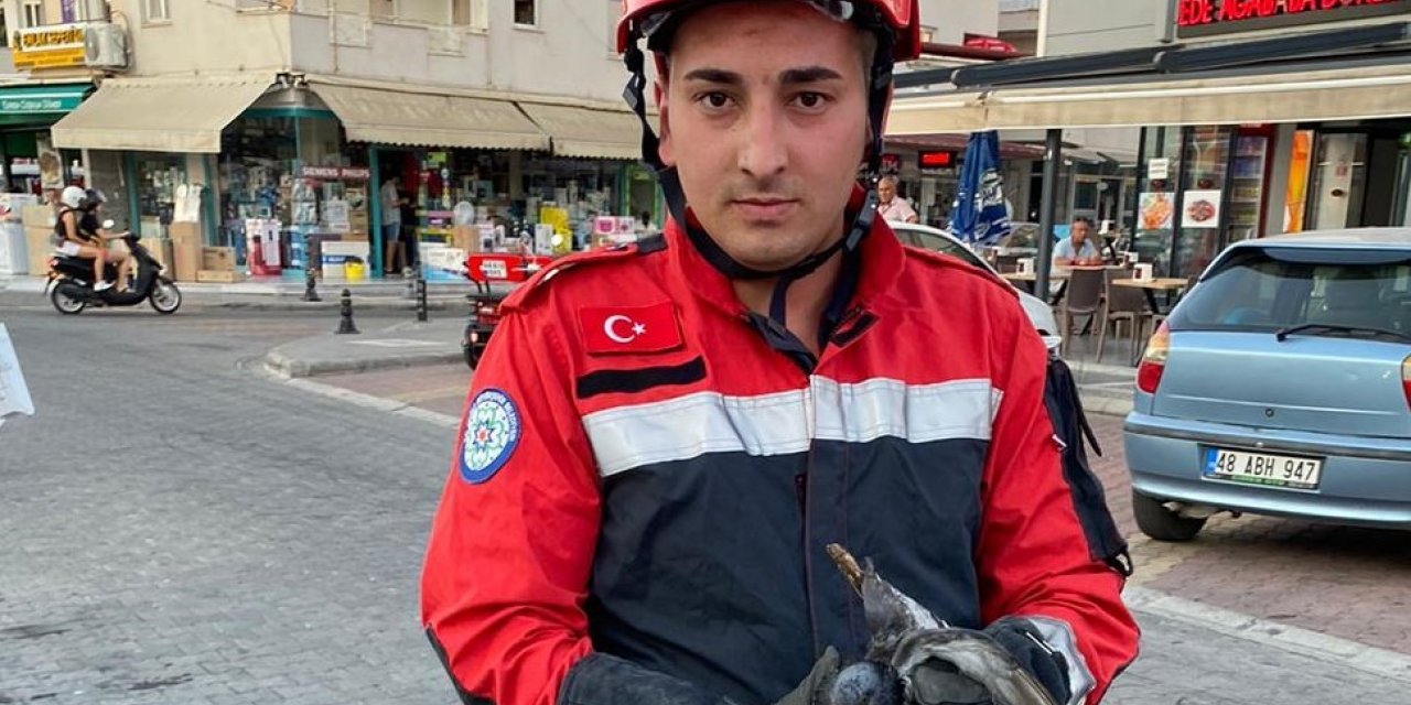 Marmaris’te kanala düşen yaralı güvercini itfaiye ekipleri kurtardı
