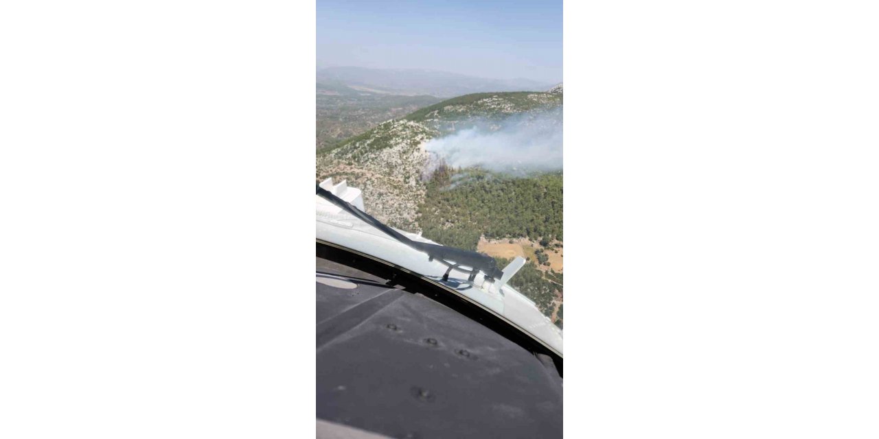 Milas’ta orman yangını