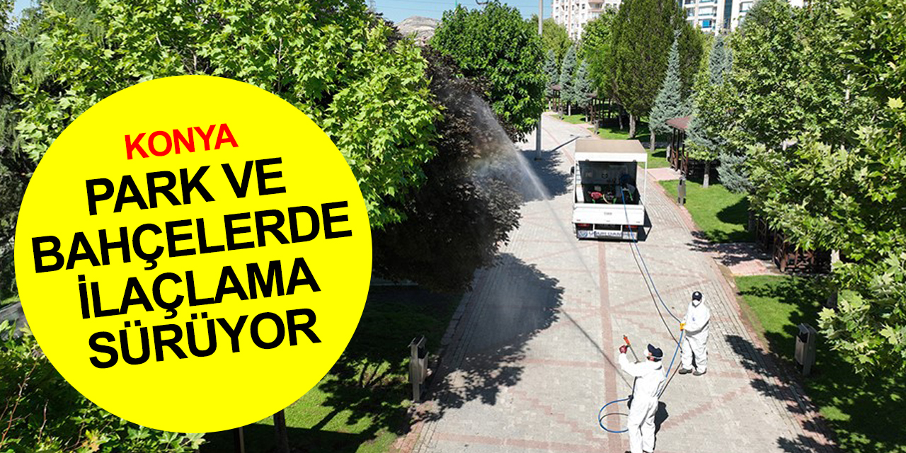 Konya Selçuklu’da haşere ilaçlamasına devam