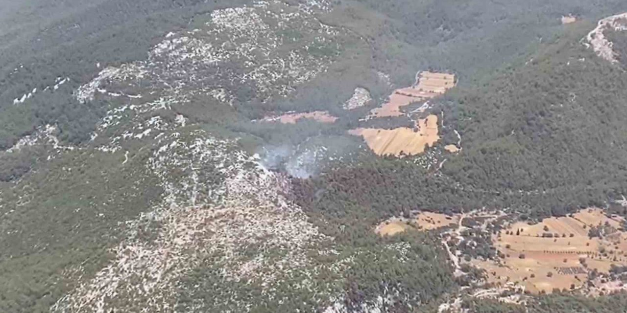 Milas orman yangını kısmen kontrol altında