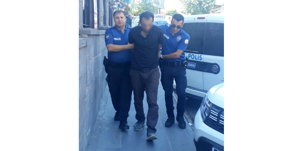 Kedileri bıçaklayarak öldüren şahıs tutuklandı