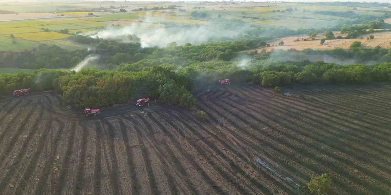 Edirne’deki orman yangınının havadan görüntüsü ortaya çıktı