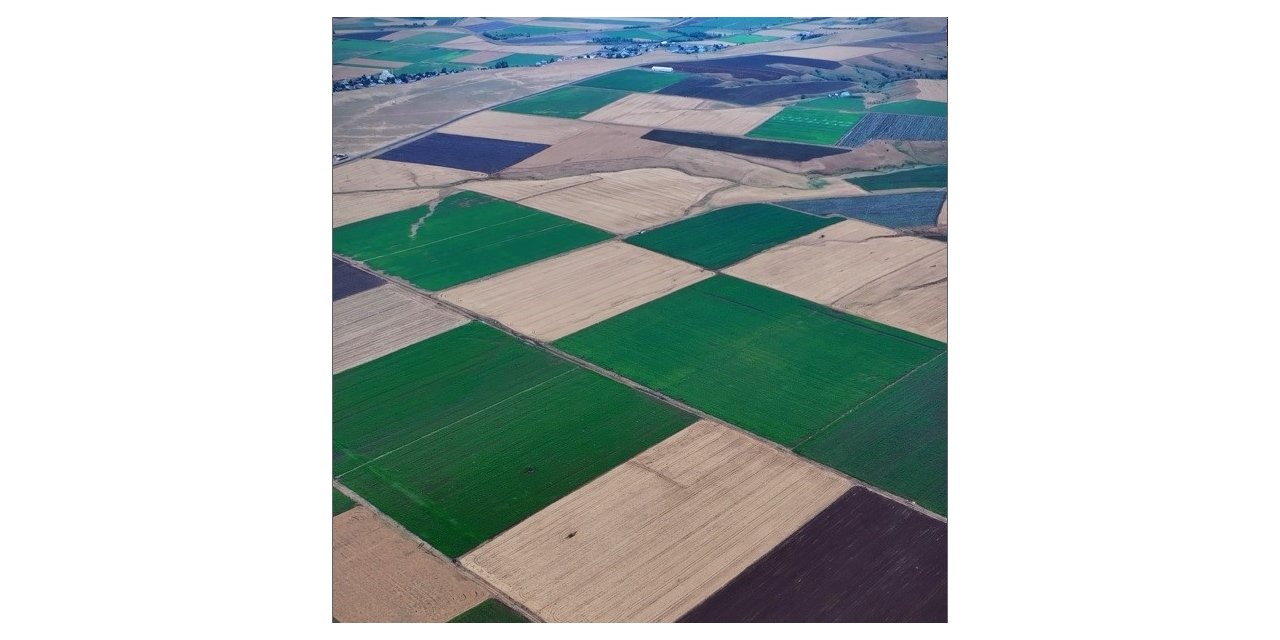 Bingöl’deki renk cümbüşü dron ile görüntülendi