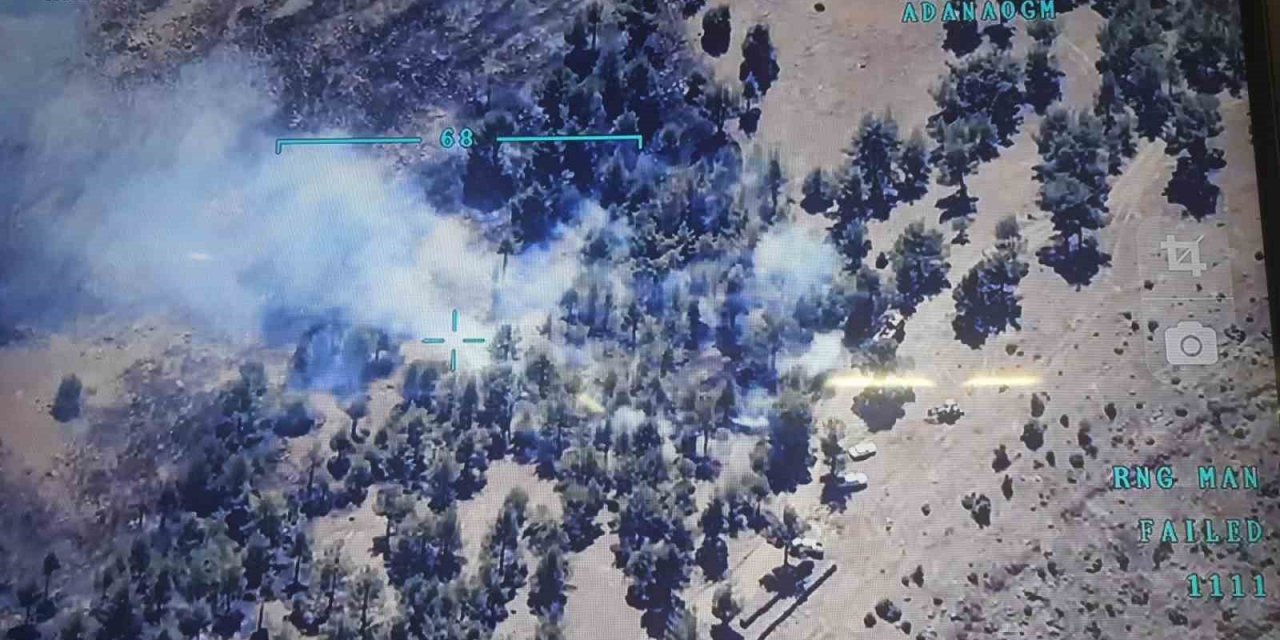 Anızdan ormana sıçrayan yangın kontrol altına alındı