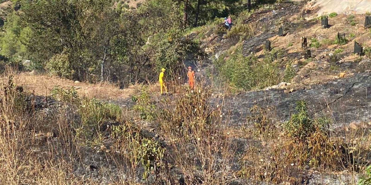 Gazipaşa’da avokado bahçesi alevlere teslim oldu