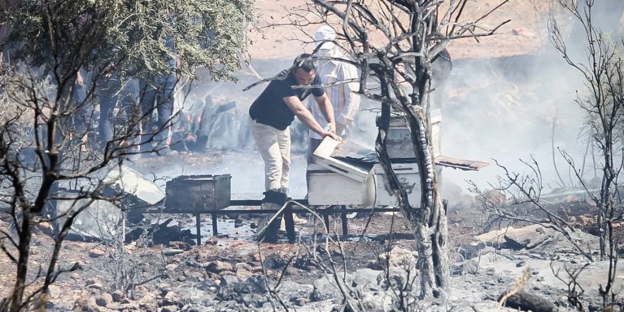 Antalya’da çalılık alanda çıkan yangın kovanları küle çevirdi