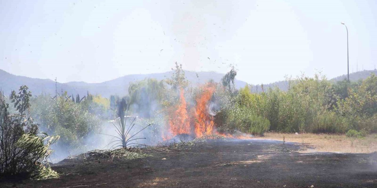 Fethiye’de otluk ve sazlık alanda çıkan yangın söndürüldü