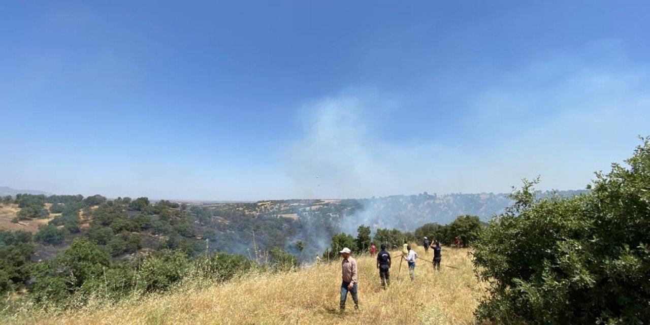Eşme’de ağaçlı alanda çıkan yangın korkuttu