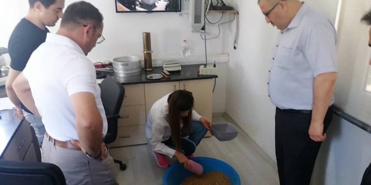 TMO son buğday tanesine kadar alım yapacak