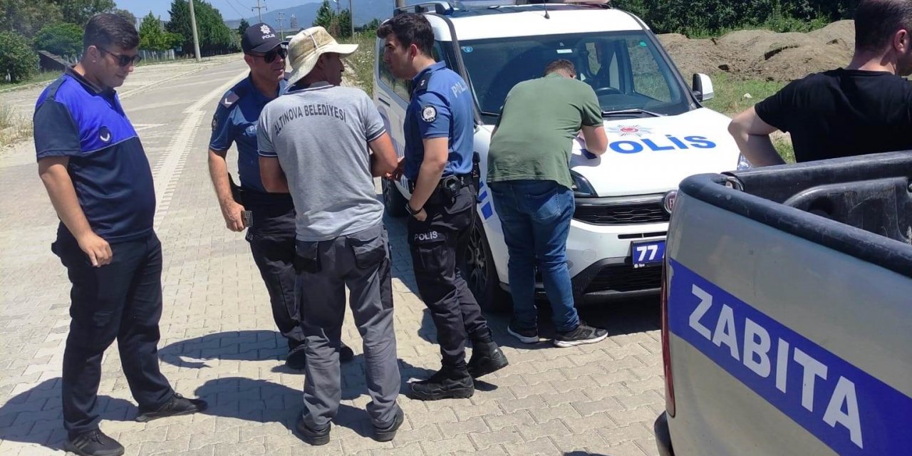 Altınova’da 3 kasa deniz börülcesiyle yakalandı