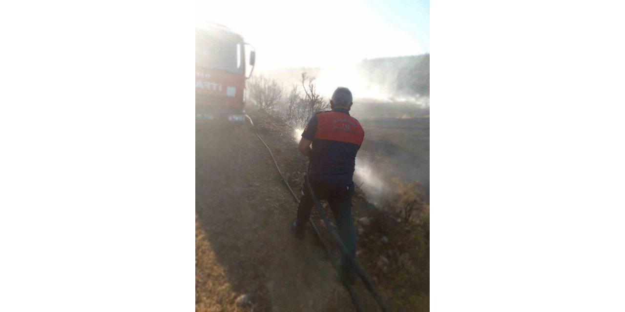 Arazide başlayan yangın ormanlık alan sıçramadan söndürüldü