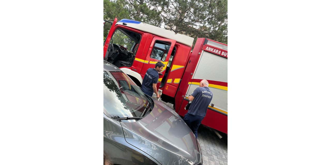 Cami kubbesine sıkışan leyleği itfaiye ekipleri kurtardı