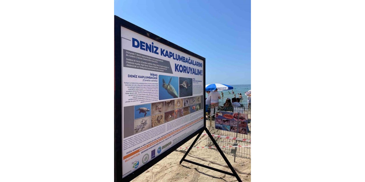 Kuşadası Belediyesi’nden Caretta Caretta yuvaları için bir önlem daha