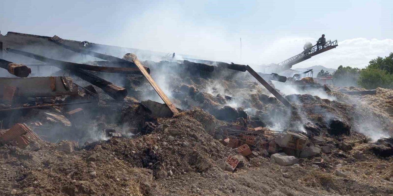 Günyüzü ilçesinde yangın, 5 büyükbaş hayvan telef oldu