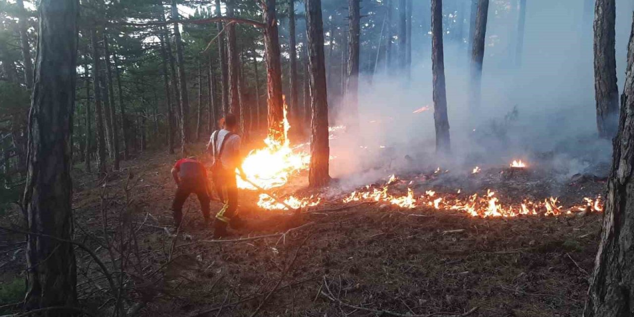 Örtü yangını paniğe yol açtı