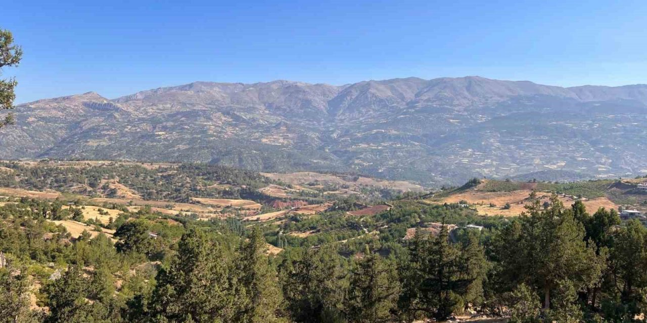 Kahramanmaraş’taki orman yangını söndürüldü