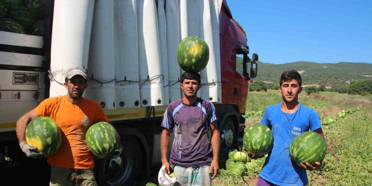 Bilecik’ten Ukrayna, Almanya ve Polonya’ya karpuz ihracatı