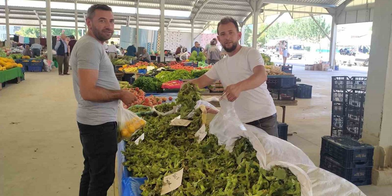 Satışa sunulan yaş fındık kapışılıyor