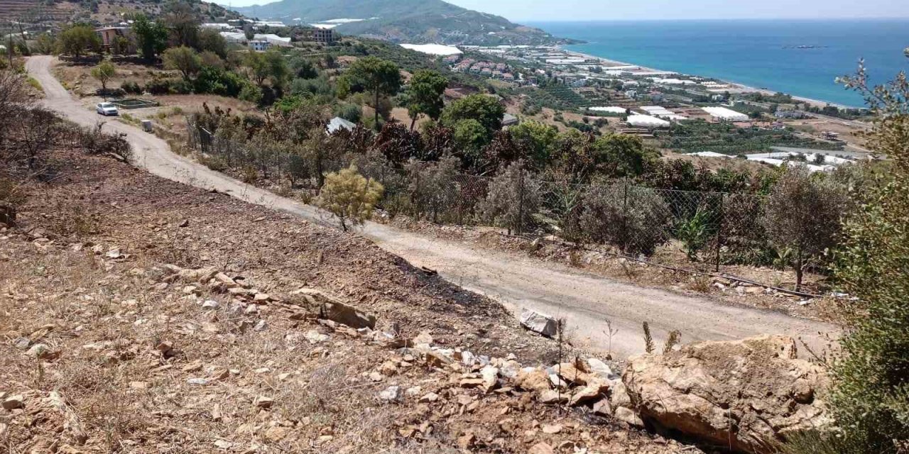Alanya’da avokado bahçesinde çıkan yangında 9 dönüm alan zarar gördü