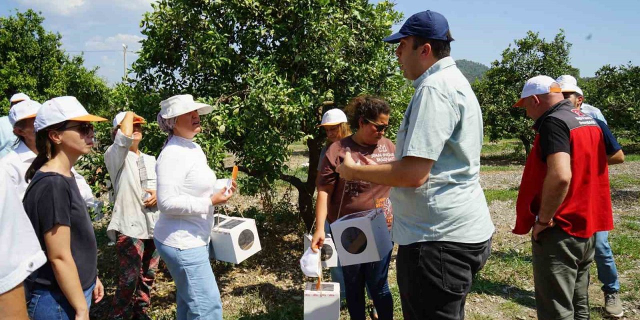 Turunçgillerde biyolojik mücadele