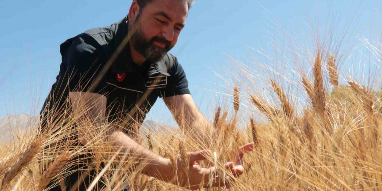 Elbistan Belediyesi halk ekmeği bedava verecek