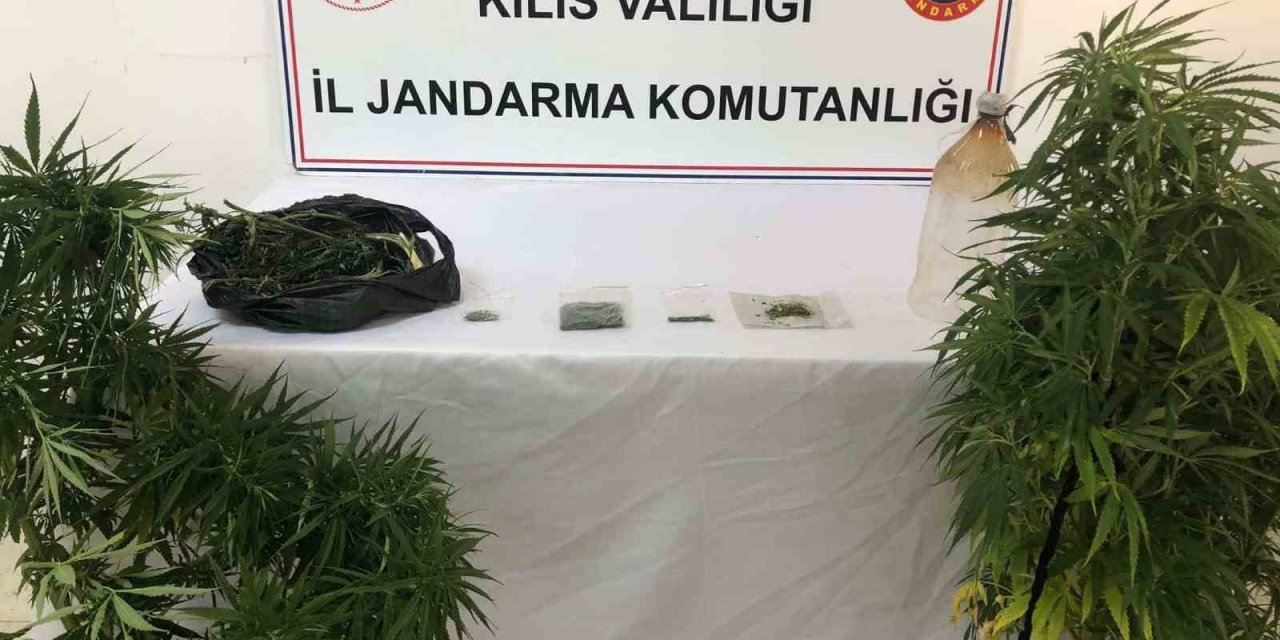 Yasa dışı esrar yetiştiren şahsın evine Jandarmadan operasyon: 2 gözaltı