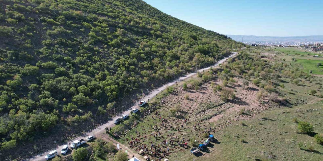 Daha Yeşil Bir Ali Dağı’na Doğru