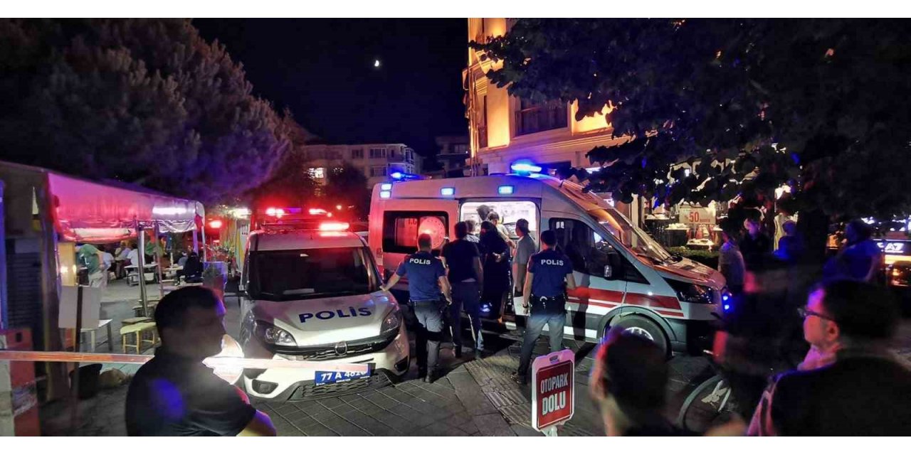 Yalova’da üzerine ağaç dalı düşen çocuk yaralandı