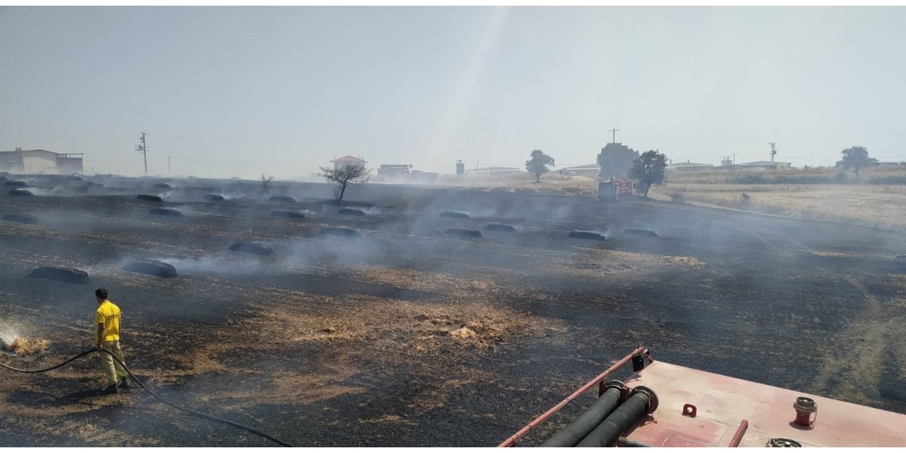 30 dönümlük alan küle döndü