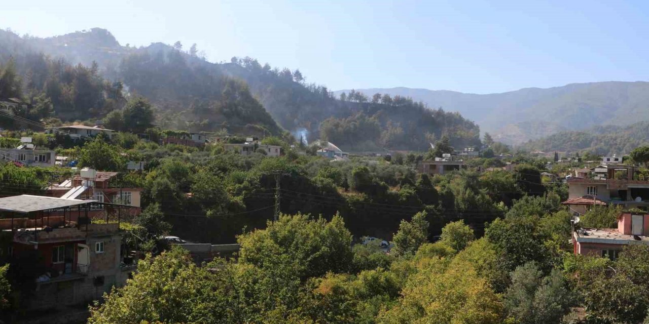 Orman yangını kontrol altına alındı