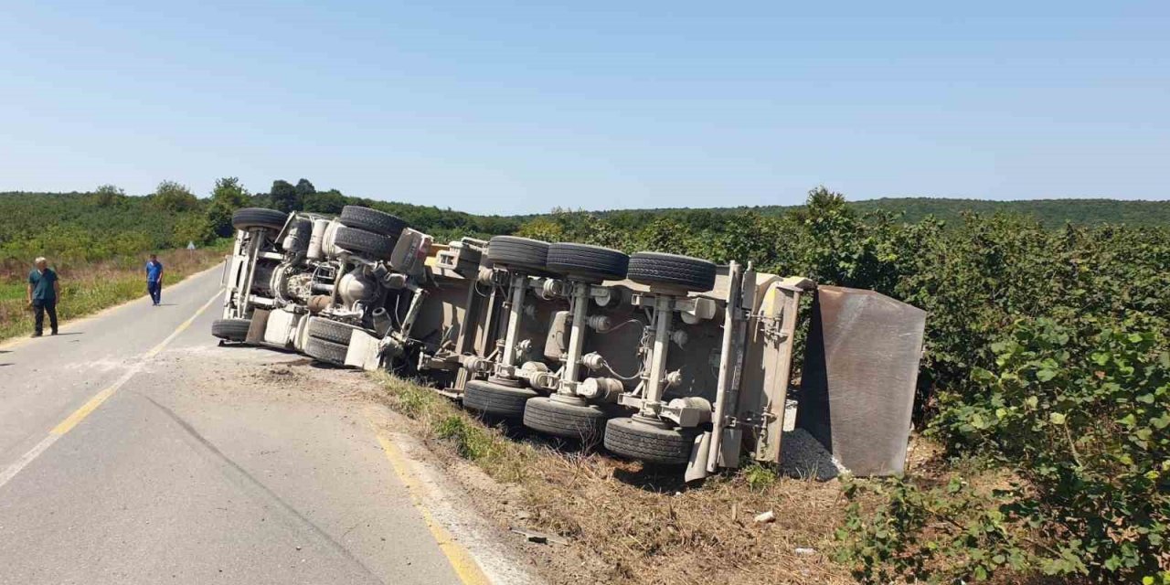 Kontrolden çıkan kamyon devrildi, sürücüsü yaralandı