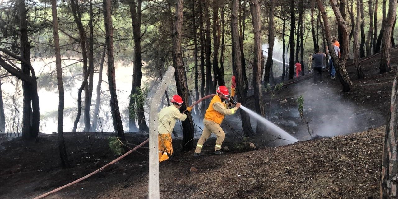 Kozan’da orman yangını