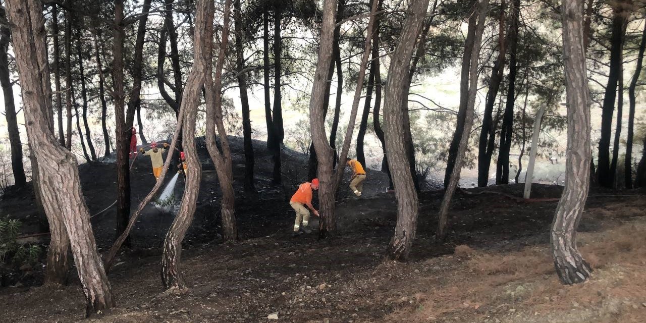 Yangın söndürüldü, vatandaş piknikçilere tepki gösterdi