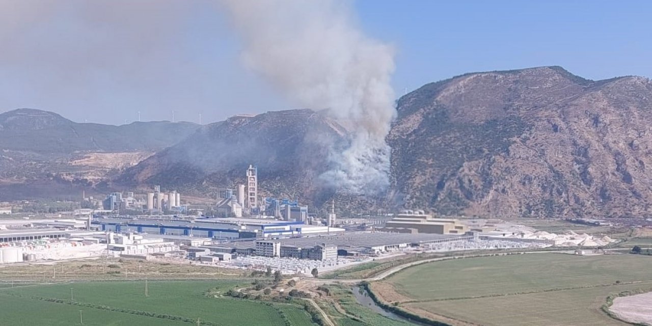 Söke’de orman yangını