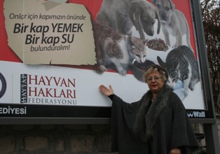 Sokak hayvanları için 'afişli' mesaj!